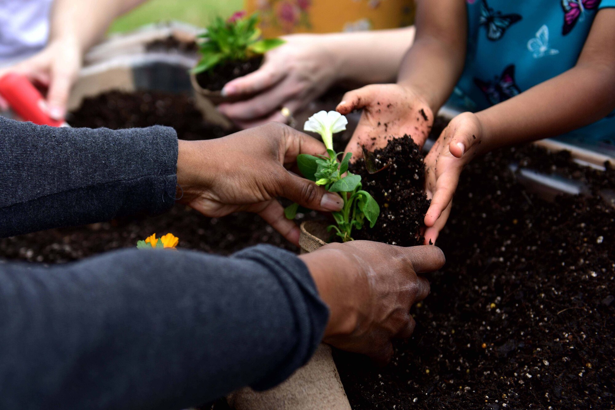 A women helps a child pot a flower.