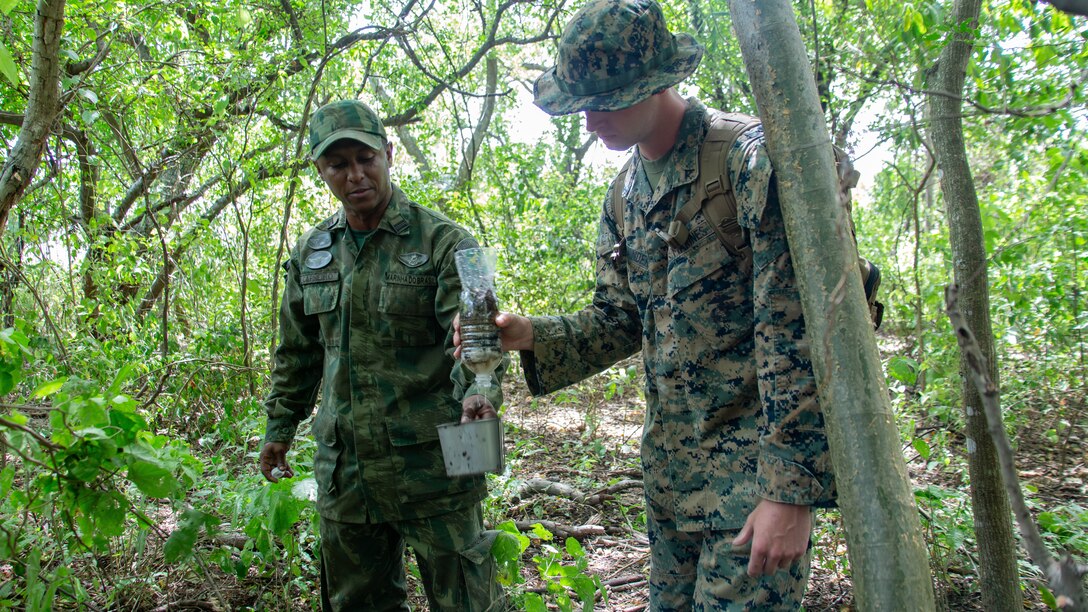 Military personnel train in the jungle.