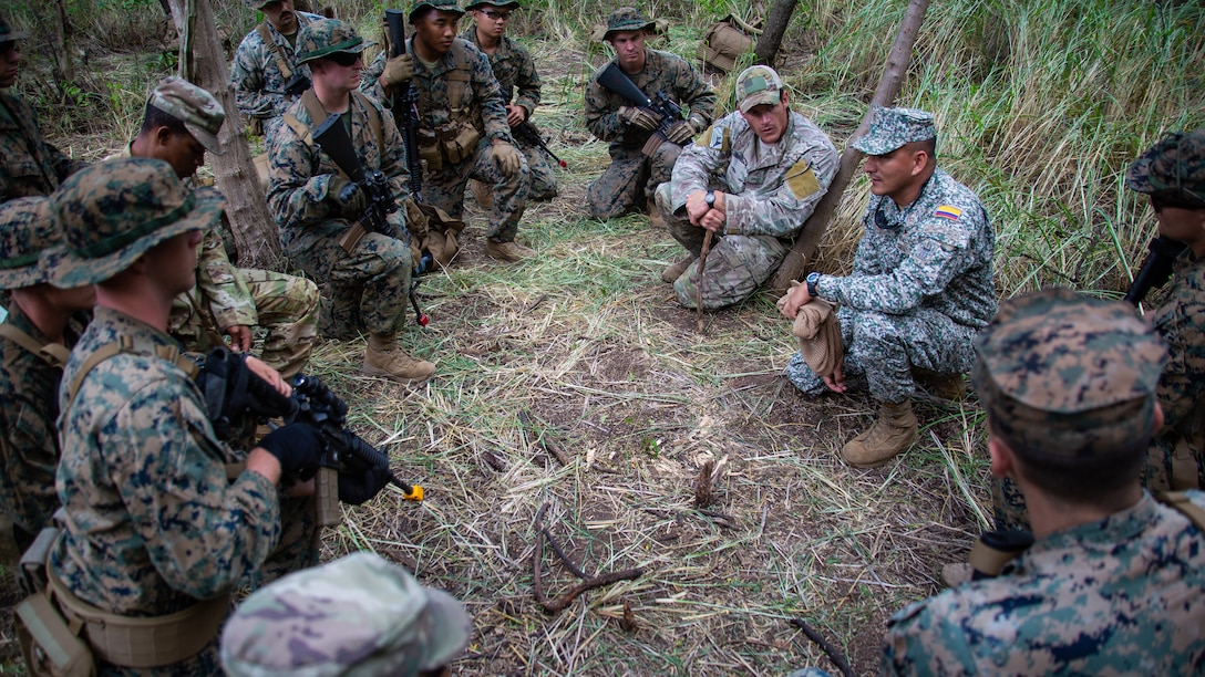 Military personnel train in the jungle.