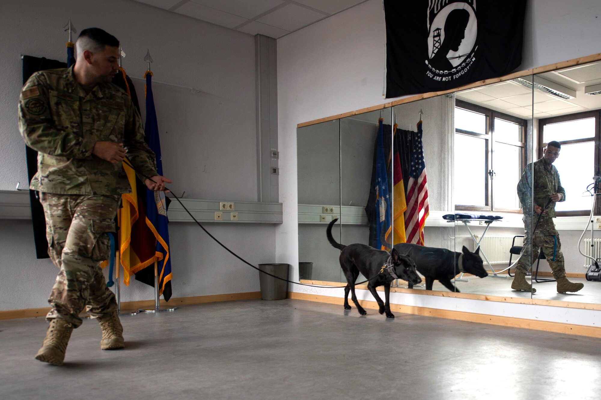 U.S. Air Force Senior Airman Erik Barrera, 52nd Security Forces Squadron military working dog handler, and Ccatilina, an MWD, conduct detection training at Spangdahlem Air Base, Germany, Aug. 1, 2019. Handlers and MWDs learn to communicate with each other to understand when drugs or explosives are present. (U.S. Air Force photo by Airman 1st Class Valerie Seelye)