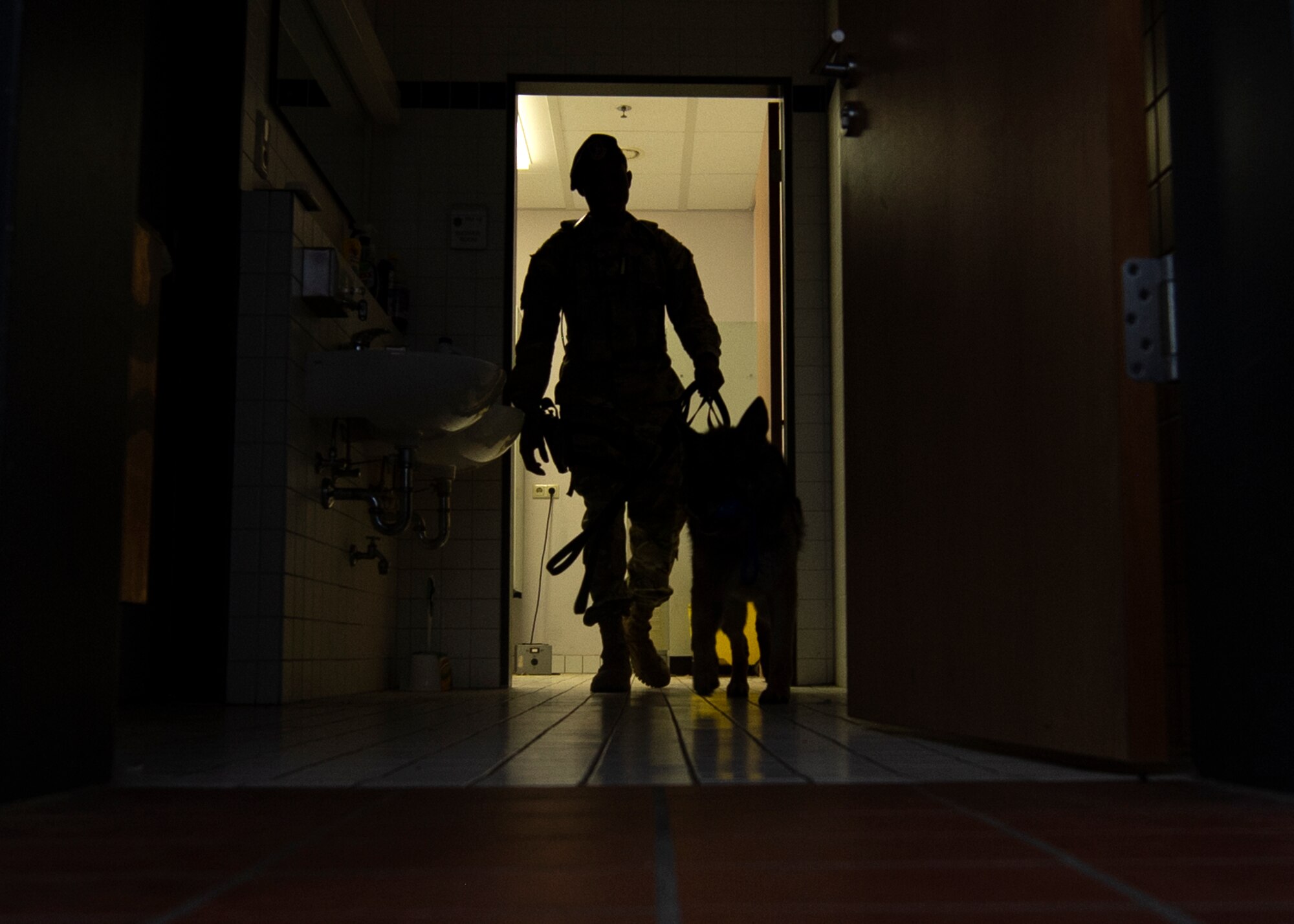 U.S. Air Force Senior Airman Victor Henderson, 52nd Security Forces Squadron military working dog handler, and Bora, an MWD, conduct detection training at Spangdahlem Air Base, Germany, Aug. 1, 2019. Henderson and Bora worked together to search for improvised explosive devices, weapons, and drugs. (U.S. Air Force photo by Airman 1st Class Valerie Seelye)