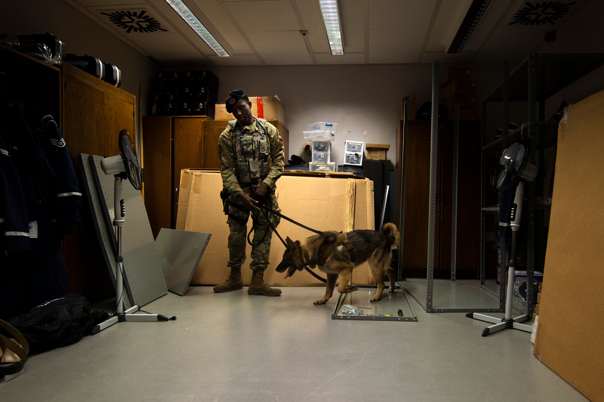 U.S. Air Force Senior Airman Victor Henderson, 52nd Security Forces Squadron military working dog handler, and Bora, an MWD, conduct detection training at Spangdahlem Air Base, Germany, Aug. 1, 2019. This type of training is routinely done at various locations on base to prepare MWDs to be able to search for drugs or explosives in any scenario. (U.S. Air Force photo by Airman 1st Class Valerie Seelye)