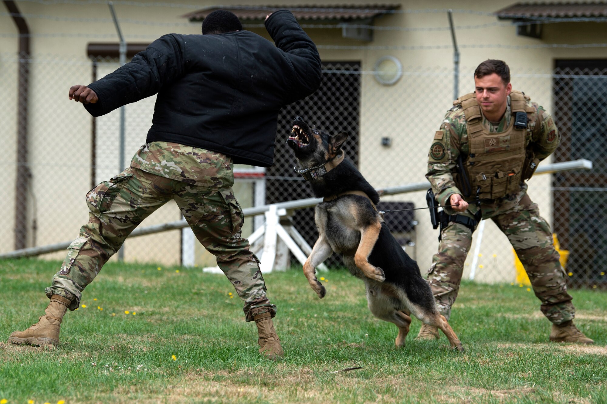 U.S. Air Force Senior Airman Victor Henderson, left, and Staff Sgt. Kyle Strobele, right, 52nd Security Forces Squadron military working dog handlers, conduct training with Mike, an MWD, at Spangdahlem Air Base, Germany, Aug. 1, 2019. Handlers wear protective gear to allow MWDs to practice correctly subduing a suspect with minimal injury to the handler. (U.S. Air Force photo by Airman 1st Class Valerie Seelye)