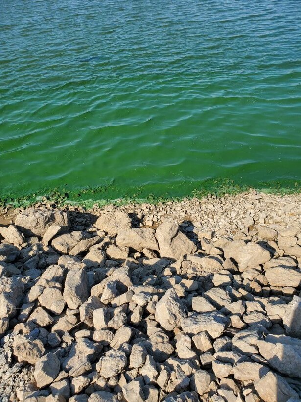 Blue-green algae blooms are unpredictable. They can develop rapidly and may float or drift around the lake, requiring visitors to exercise their best judgment.  If there is scum, a paint-like surface or the water is bright green, avoid all water contact and keep pets away.