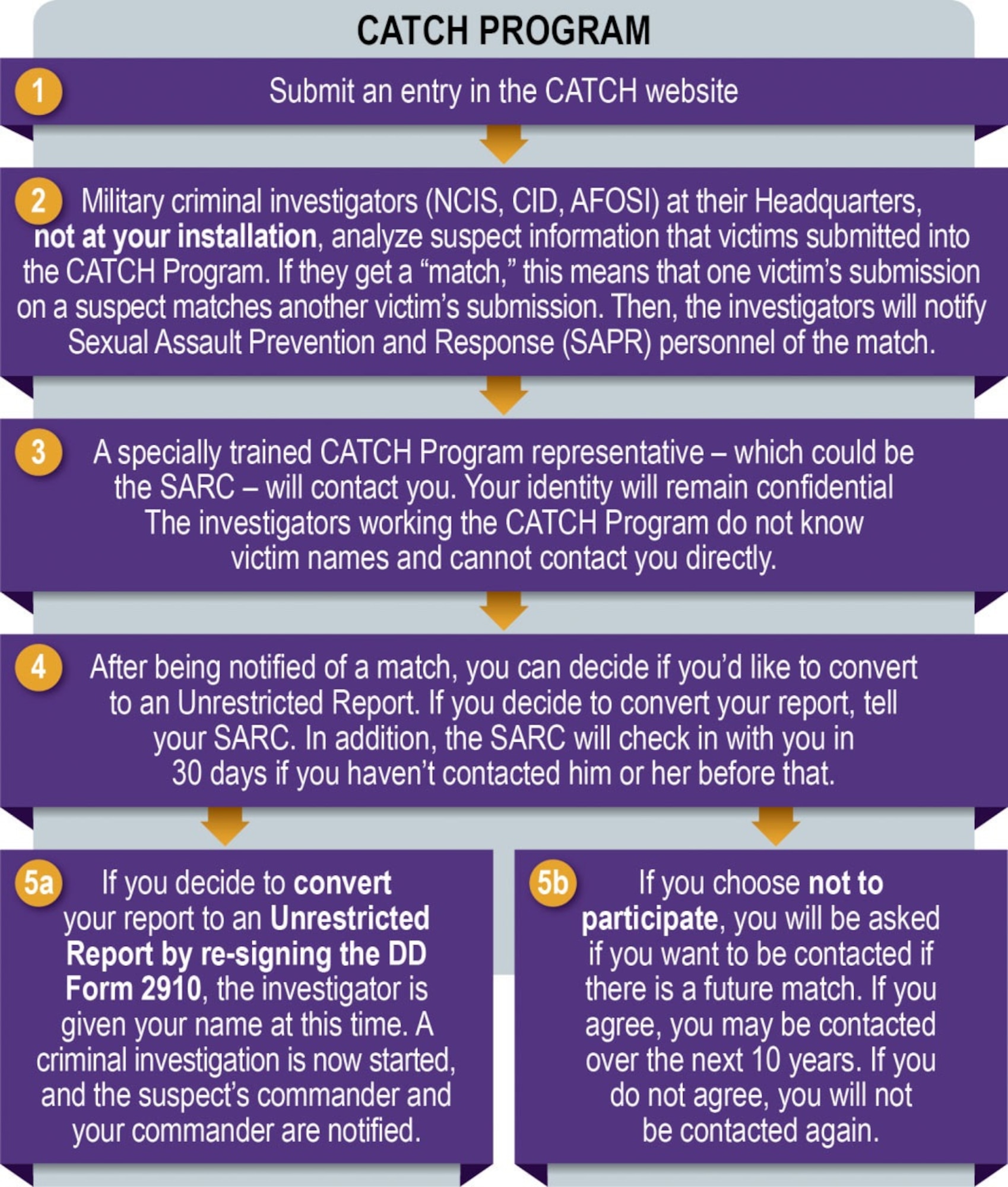 A graphic summarizes the Defense Department’s new CATCH Program, which is designed to aid in identifying possible serial sexual assault offenders.