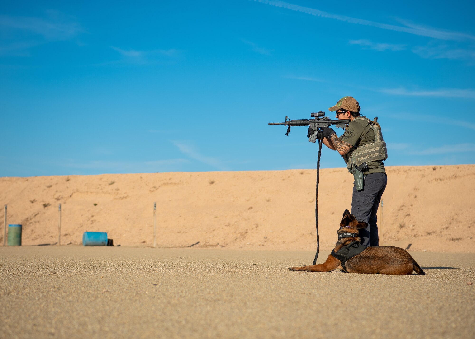 Staff Sgt. Elizabeth Pedroza, 56th Security Forces Squadron military working dog handler, familiarizes Frida, an MWD, with the sound of gun fire Aug. 2, 2019, in Surprise, Ariz.