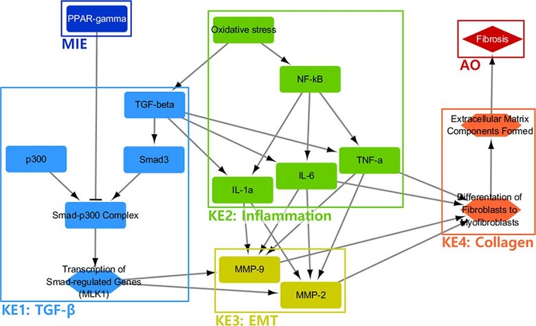 Adverse Outcome Pathway