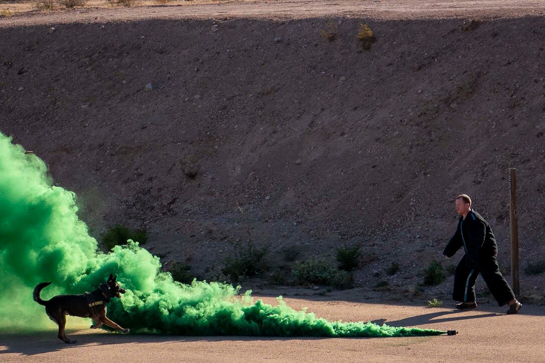 A dog runs toward an airman with green smoke between the two.