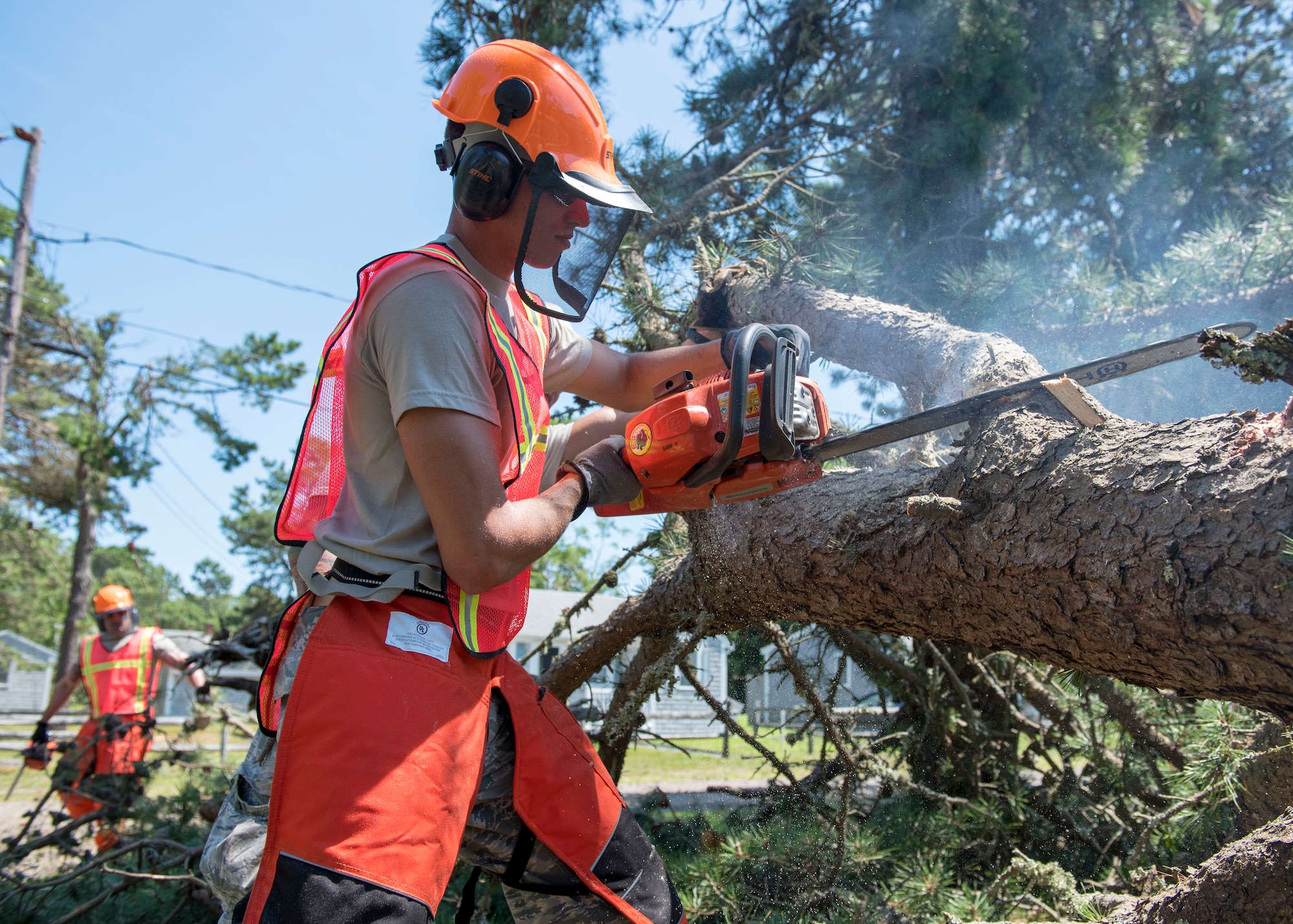 Airman cuts branch with chainsaw from fallen pine tree.