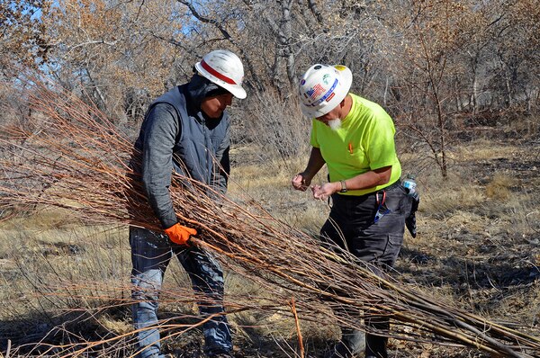 COCHITI LAKE, N.M. - Dave Derrick, instructor, (right) and a workshop participant tie bundles of newly cut plantings in preparation for transport to a different location at Cochiti Lake during the hands-on riparian construction workshop held February 26-27. Cochiti Lake was selected for the location for the workshop because of the opportunities available to rehabilitate the shoreline with native species. This rehabilitation will provide habitat for a wide range of riparian-dependent fauna and improve water quality.