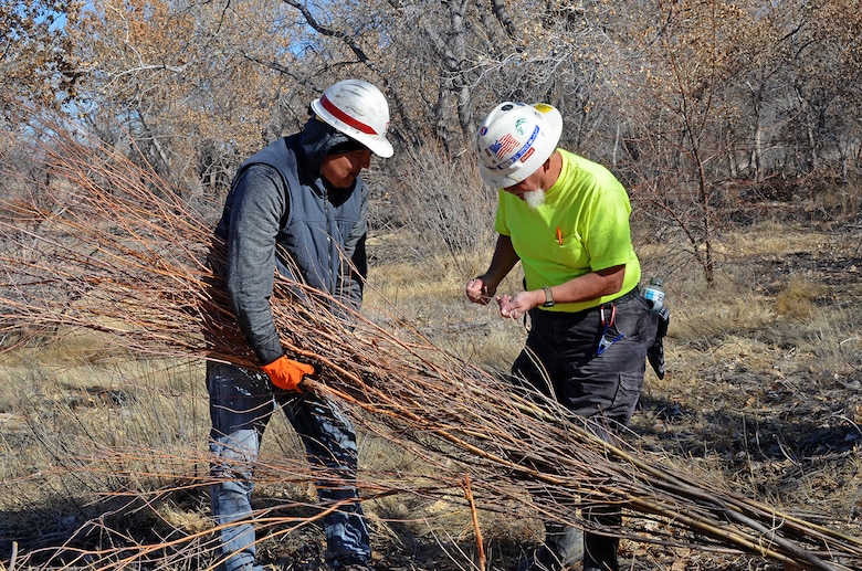 COCHITI LAKE, N.M. - Dave Derrick, instructor, (right) and a workshop participant tie bundles of newly cut plantings in preparation for transport to a different location at Cochiti Lake during the hands-on riparian construction workshop held February 26-27. Cochiti Lake was selected for the location for the workshop because of the opportunities available to rehabilitate the shoreline with native species. This rehabilitation will provide habitat for a wide range of riparian-dependent fauna and improve water quality.