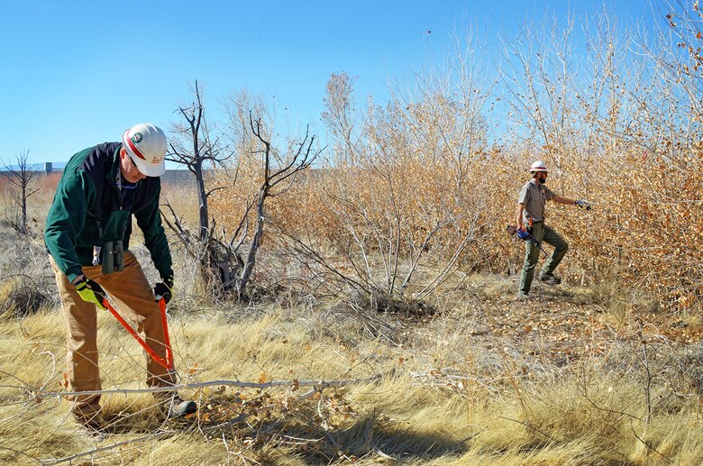 COCHITI LAKE, N.M. – Richard Fischer, instructor, (left) and Nicholas Parks, ranger, USACE, Cochiti Lake, cut willow and cottonwood poles along the banks of Cochiti Lake during the hands-on riparian construction workshop held February 26-27. The cuttings were transported to preselected locations, with no vegetation, within the Cochiti Lake area. “The objective of the workshop is to introduce USACE, interested individuals, tribes, and agency partners to a number of deep-planting techniques to enhance, expand, and restore riparian areas,” Fischer said.