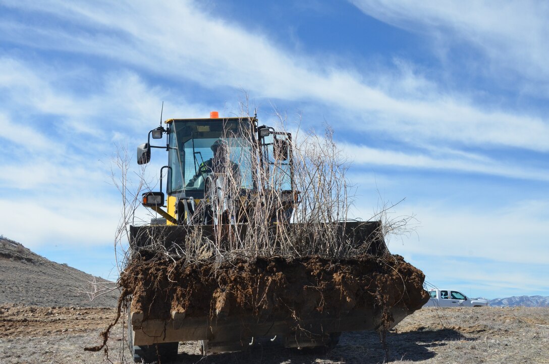 COCHITI LAKE, N.M. - A backhoe digs up a group of plantings and then transports them to a trench in a different area within Cochiti Lake which currently has no vegetation. The backhoe then placed the plantings trench, and covered them with dirt. U.S. Army Corps of Engineers rangers working at Cochiti Lake will monitor the plantings to see which ones thrive and which one do not.