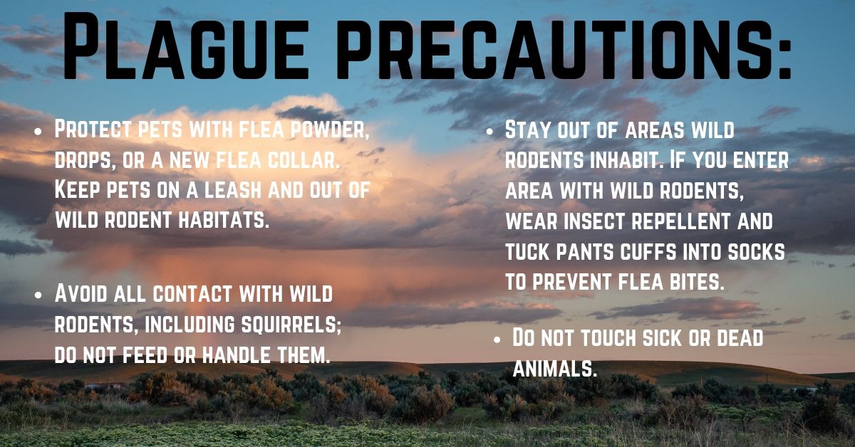 Can You Get Sick From Touching Dead Animals