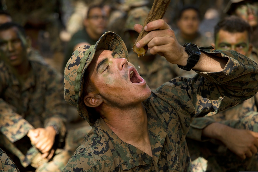 A Marine drinks water from a plant.