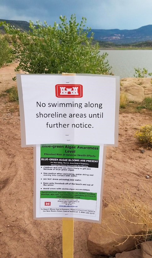 One of the signs posted along the Cerrito Recreation Area shoreline informing visitors that swimming is not allowed do to the presence of a toxic blue-green algae bloom.