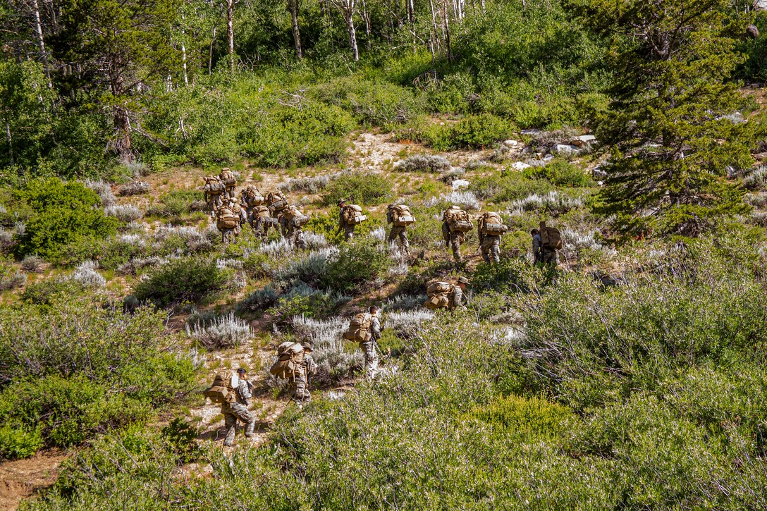U.S. Marines and Sailors with Headquarters and Service Company, 2nd Battalion, 3rd Marine Regiment, hike uphill for a resupply mission during Mountain Exercise (MTX) 4-19 at the Mountain Warfare Training Center, Bridgeport, CA, August 4, 2019. The purpose of the MTX is to provide a training and assessment that challenges units to plan and perform operational tasks across the warfighting functions in mountainous environment. (U.S. Marine Corps photo by Lance Cpl. Jacob Wilson)