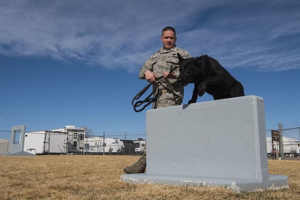 Senior Airman Christopher Alexander, 90th Security Forces Squadron military working dog handler, trains with his MWD, Kormi, at F.E. Warren Air Force Base, Wyo., March 16, 2017. The dogs and their handlers are constantly training for new deployment capabilities. (U.S. Air Force photo by Staff Sgt. Christopher Ruano)