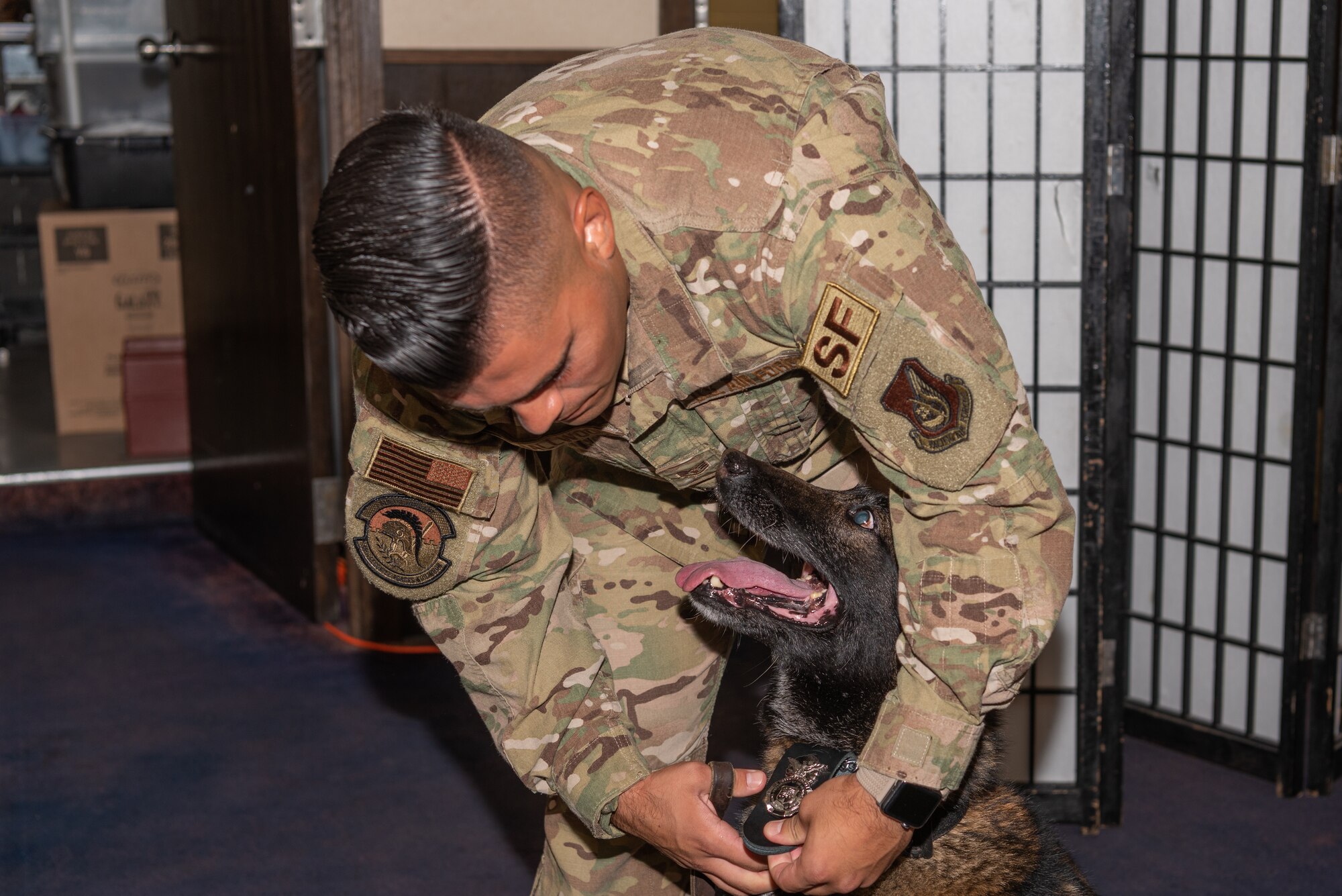 U.S. Air Force Staff Sgt. Jared Smallwood, military working dog (MWD) handler assigned to the 18th Security Forces Squadron, attaches a leash to MWD Ayila during a MWD retirement ceremony July 26, 2019, on Kadena Air Base, Japan. MWDs and their handlers must have trust and patience with one another to work together as a team and accomplish the mission safely and effectively. (U.S. Air Force photo by Senior Airman Cynthia Belío)