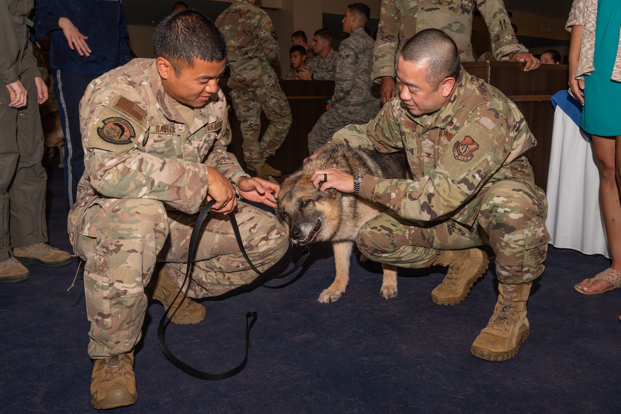 U.S. Air Force Staff Sgt. Bryan Savella, military working dog (MWD) handler assigned to the 18th Security Forces Squadron, and U.S. Air Force Colonel Thang Doan, commander assigned to the 18th Mission Support Group, pet MWD KitKat during a MWD retirement ceremony July 26, 2019, on Kadena Air Base, Japan. MWDs are trained in a variety of specialties, including detection of narcotic substances and improvised explosive devices, and capturing and detaining suspects. (U.S. Air Force photo by Senior Airman Cynthia Belío)