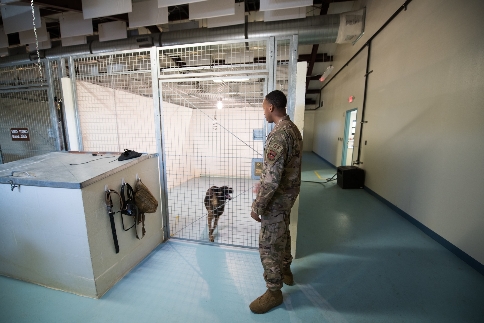 Military Working Dog Stamp Ceremony