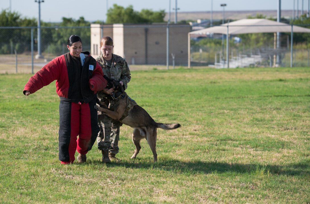 Military Working Dog Stamp Ceremony