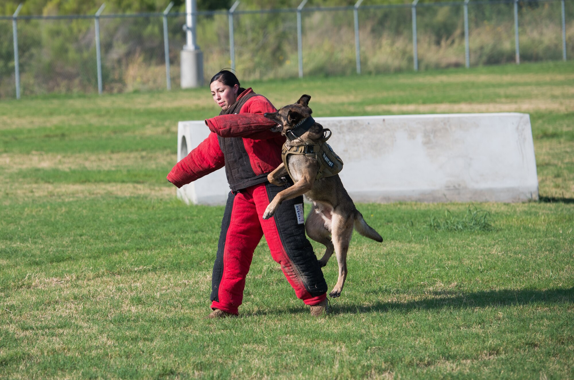 Military Working Dog Stamp Ceremony