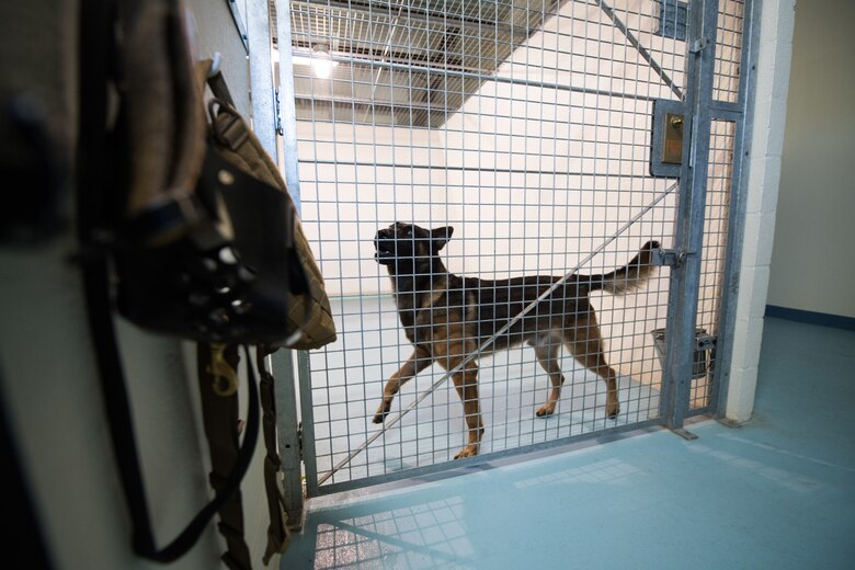 Military Working Dog Stamp Ceremony