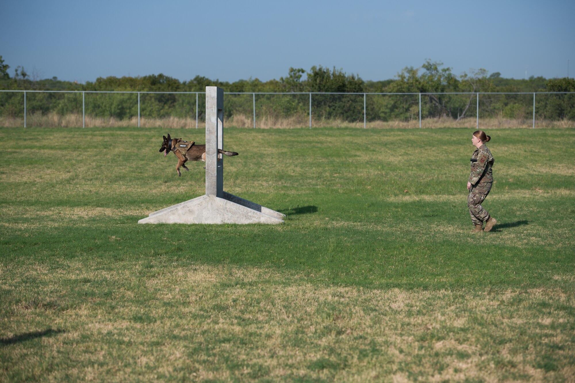 Military Working Dog Stamp Ceremony