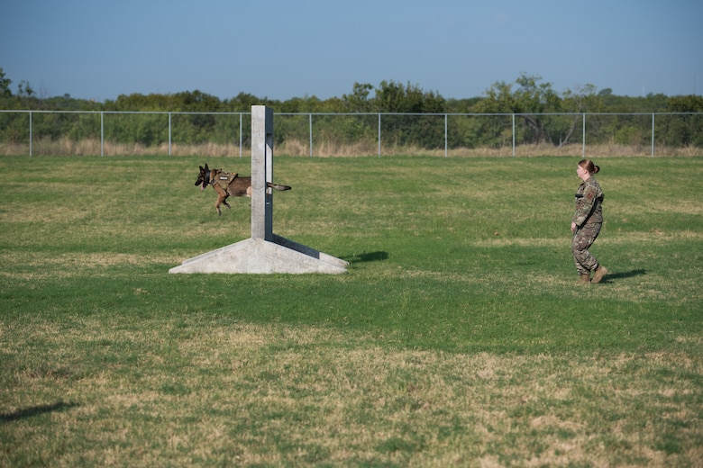 Military Working Dog Stamp Ceremony