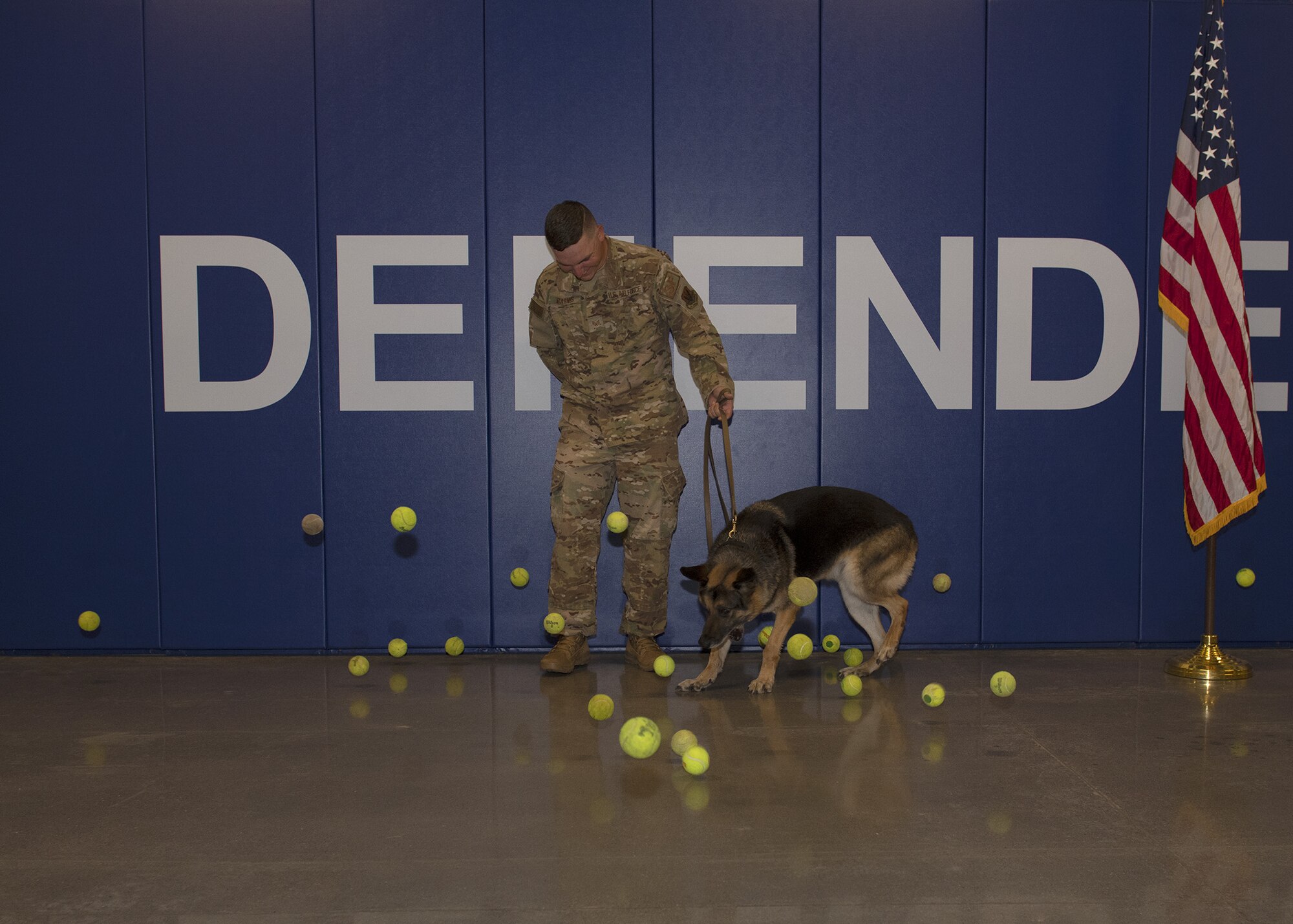 Wax, 56th Security Forces Squadron military working dog, chases after tennis balls during his retirement ceremony Aug. 9, 2019, at Luke Air Force Base, Ariz.