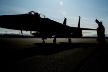 U.S. Airmen assigned to the 67th Aircraft Maintenance Unit, Kadena Air Base, Japan, prepare an F-15 Eagle for takeoff at Allen Army Airfield during Red Flag-Alaska 19-3 at Fort Greely, Alaska, Aug. 8, 2019. During the exercise, Fort Greely was used to implement agile combat employment, which allows aircraft maintainers to perform maintenance operations in remote locations with as few people as possible. (U.S. Air Force photo by Senior Airman Isaac Johnson)