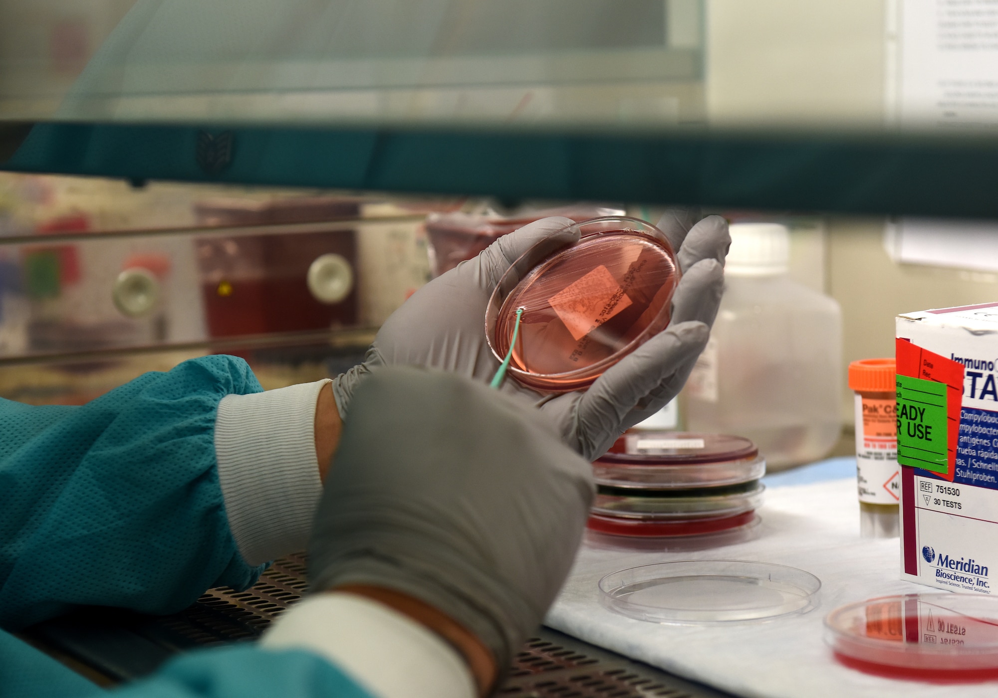 A 48th Medical Support Squadron laboratory technician performs a microbiology test at Royal Air Force Lakenheath, England, Aug.14, 2019. Each year, the lab runs more than 268,000 tests and 200,000 of them are done at RAF Lakenheath, while the others are done in the states. (U.S. Air Force photo by Airman 1st Class Madeline Herzog)