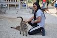 A U.S. military service member pets a cat at an animal rescue shelter near Doha, Qatar Aug. 9, 2019. She is part of a group who regularly volunteer their time to exercise the animals while on a rotation to Qatar. They hope their initiative continues after they leave and return to the U.S.