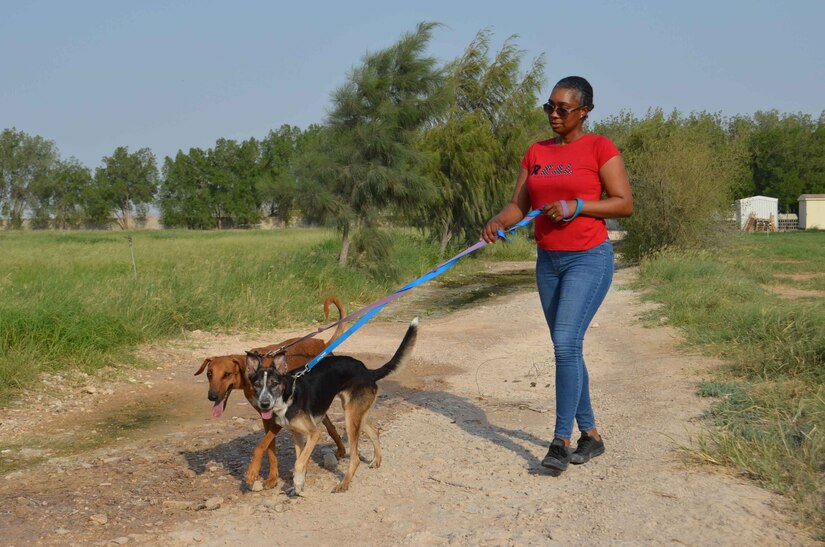 Staff Sgt. Lia Cater a Queens, New York native and team leader with A Company, 1st Battalion, 114th Infantry Regiment, NJARNG walks a dog at an animal rescue shelter outside Doha, Qatar, Aug. 9, 2019. Cater is co-leading outreach by service members who are on rotations at Camp As Sayliyah, Qatar and they hope their effort will be a legacy for their replacements to uphold.