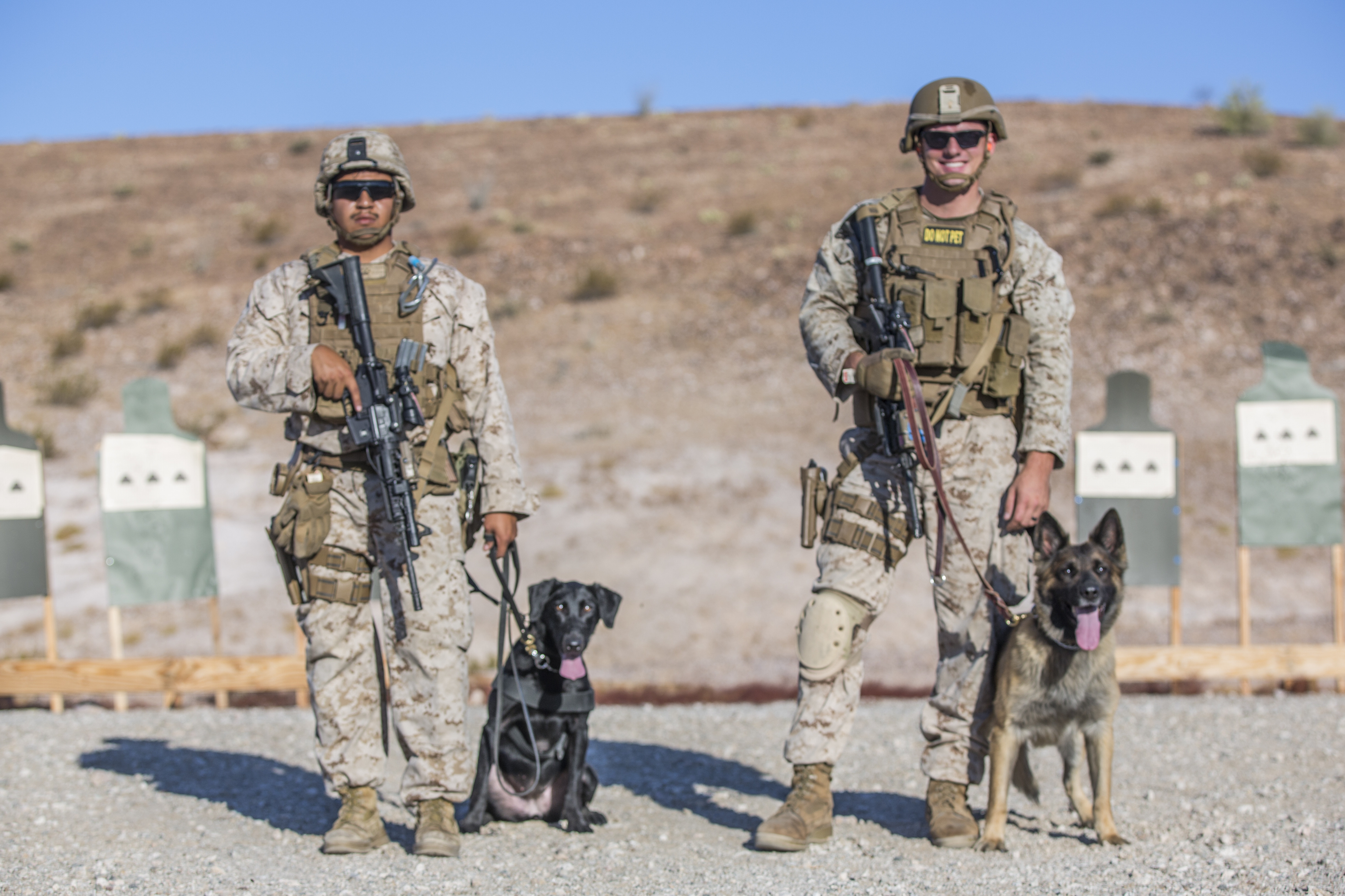 Marines k9 unit sales