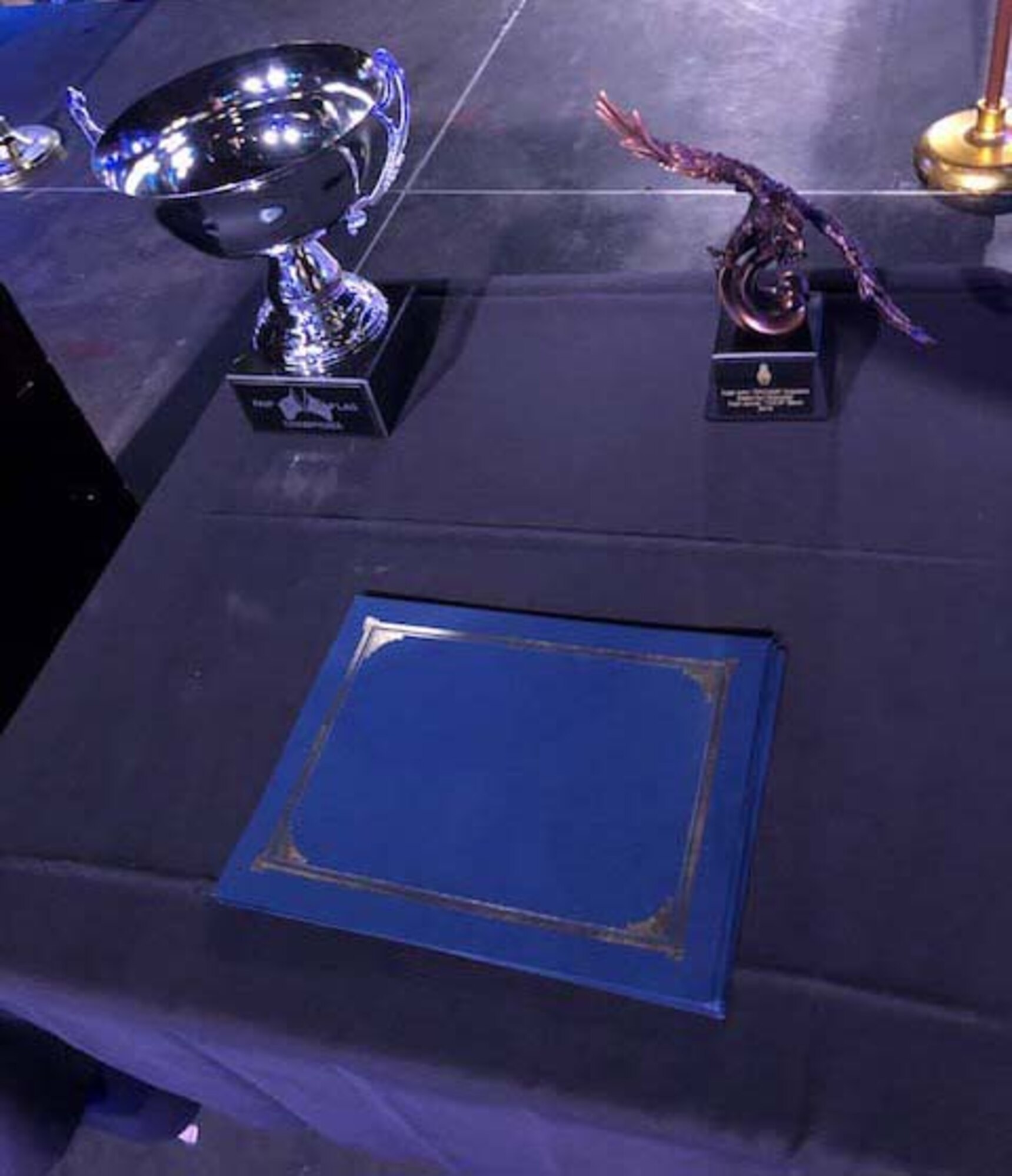 The FAIP Flag championship trophy and the first annual award for character rests on a table, Aug. 10, 2019, at Naval Air Station Fort Worth Joint Reserve Base, New Orleans. Columbus Air Force Base, Miss., were the recipients of the first FAIP Flag championship trophy and the character award went to a FAIP from Laughlin AFB, Texas. (U.S. Air Force photo by 1st Lt. Patricia Pasque)