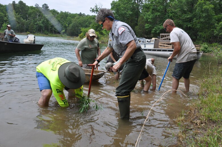 Aquatic plants into Russell Lake