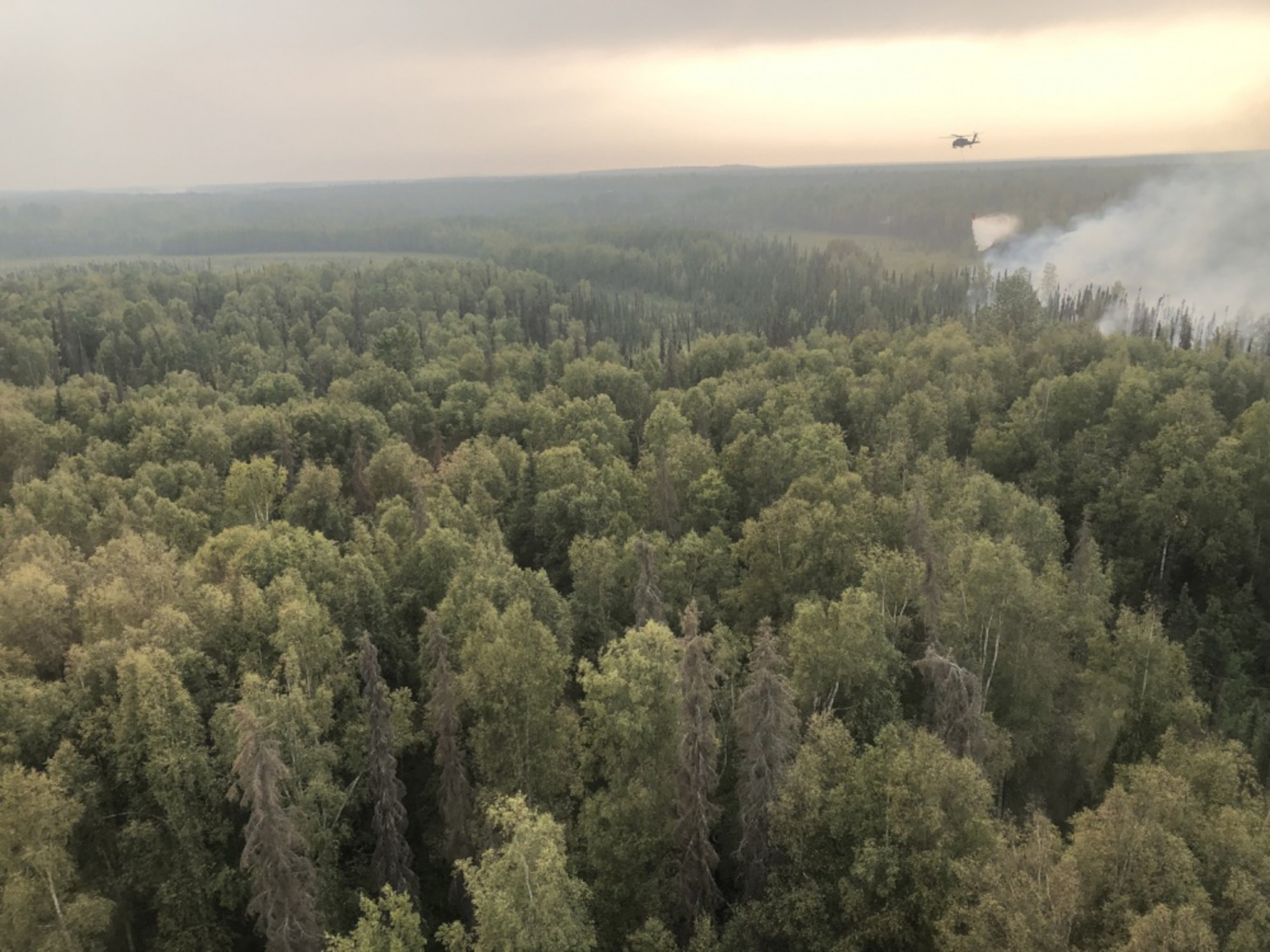 The Alaska Army National Guard's 1st Battalion, 207th Aviation Regiment, supports the McKinley Fire suppression mission Aug. 19, 2019, with two UH-60 Black Hawk helicopters. The helicopters dropped more than 100,000 gallons of water during a total of 9.5 flight hours in support of this mission.
