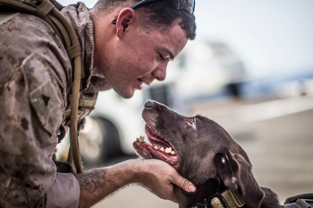 A Marine and a dog look into each other's eyes.