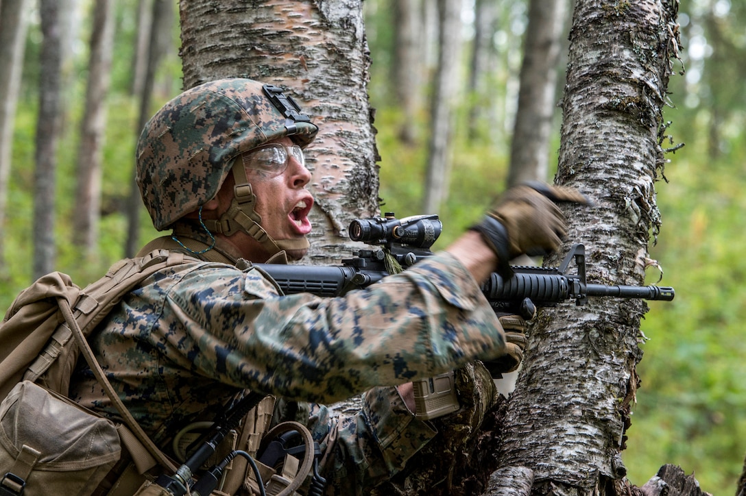 A Marine holding a weapon in a forest points and shouts.