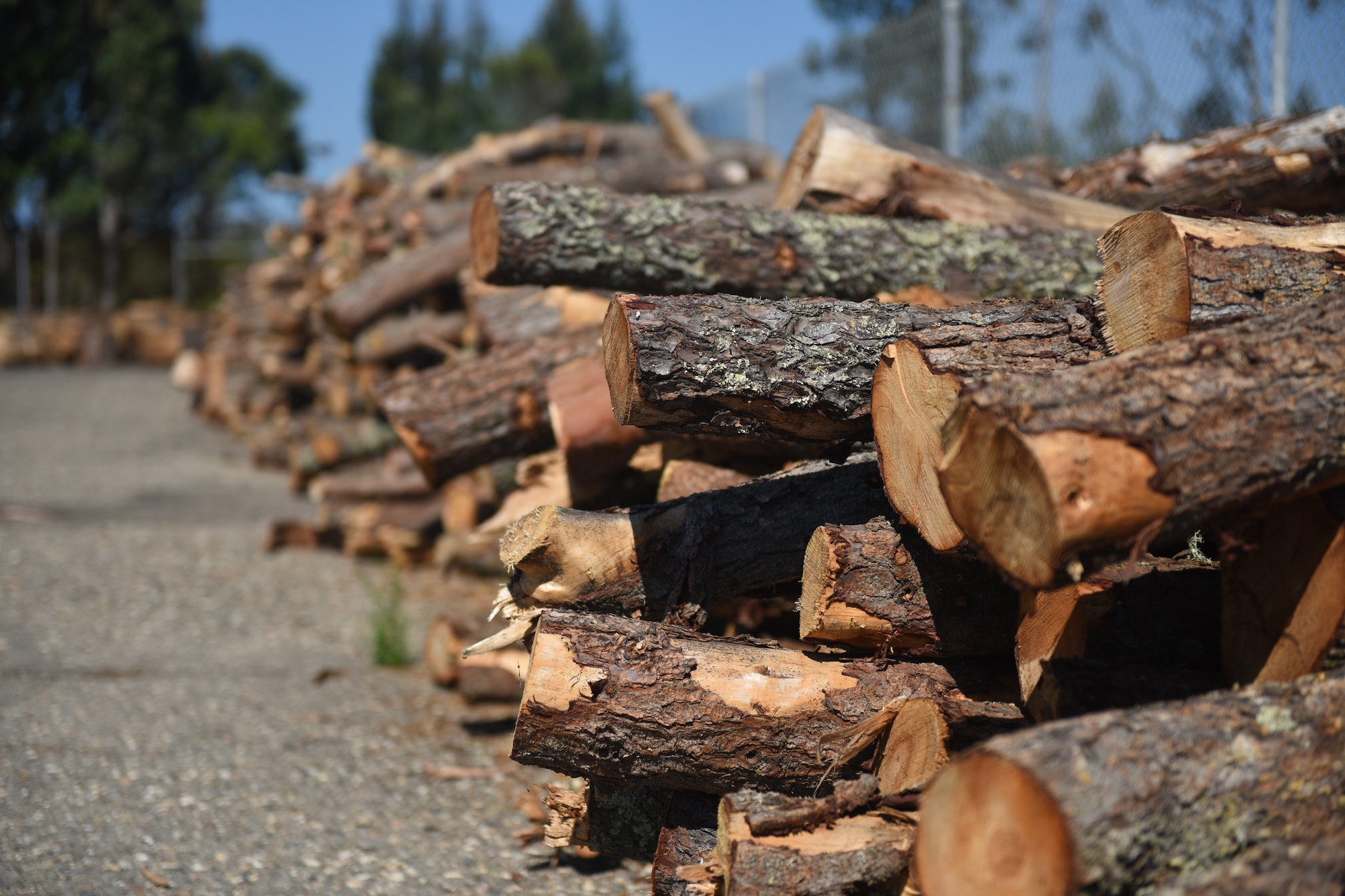 Reuseable wood scraps as well as uncut logs, rounds and tree limbs are available for free to anyone with base access. The Vandenberg Recycling Center also hosts free split firewood giveaways during select dates throughout the year.