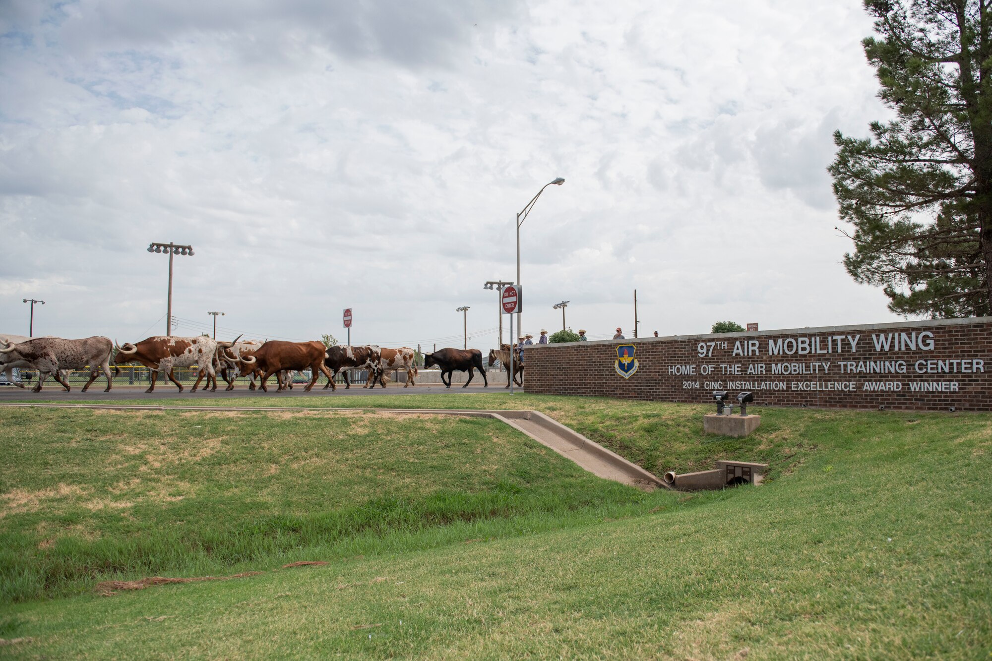 Cattle drive hosted on Altus AFB.