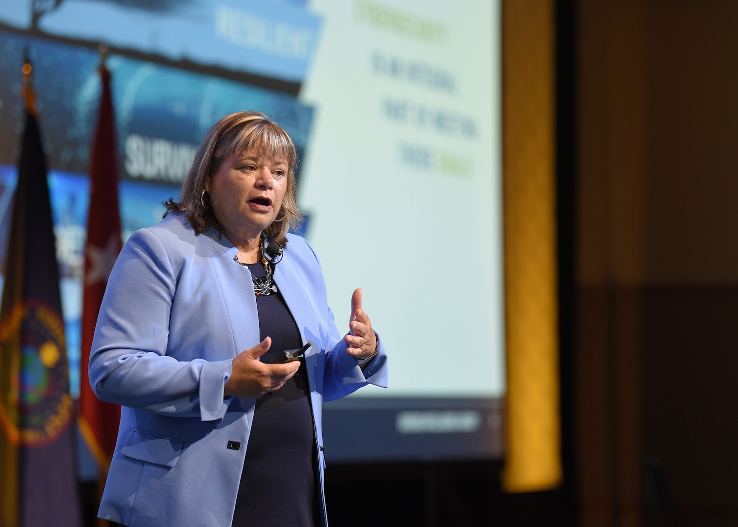 Jean Schaffer, Defense Intelligence Agency Cyber and Enterprise Operations Chief, explains the Agency’s digital transformation