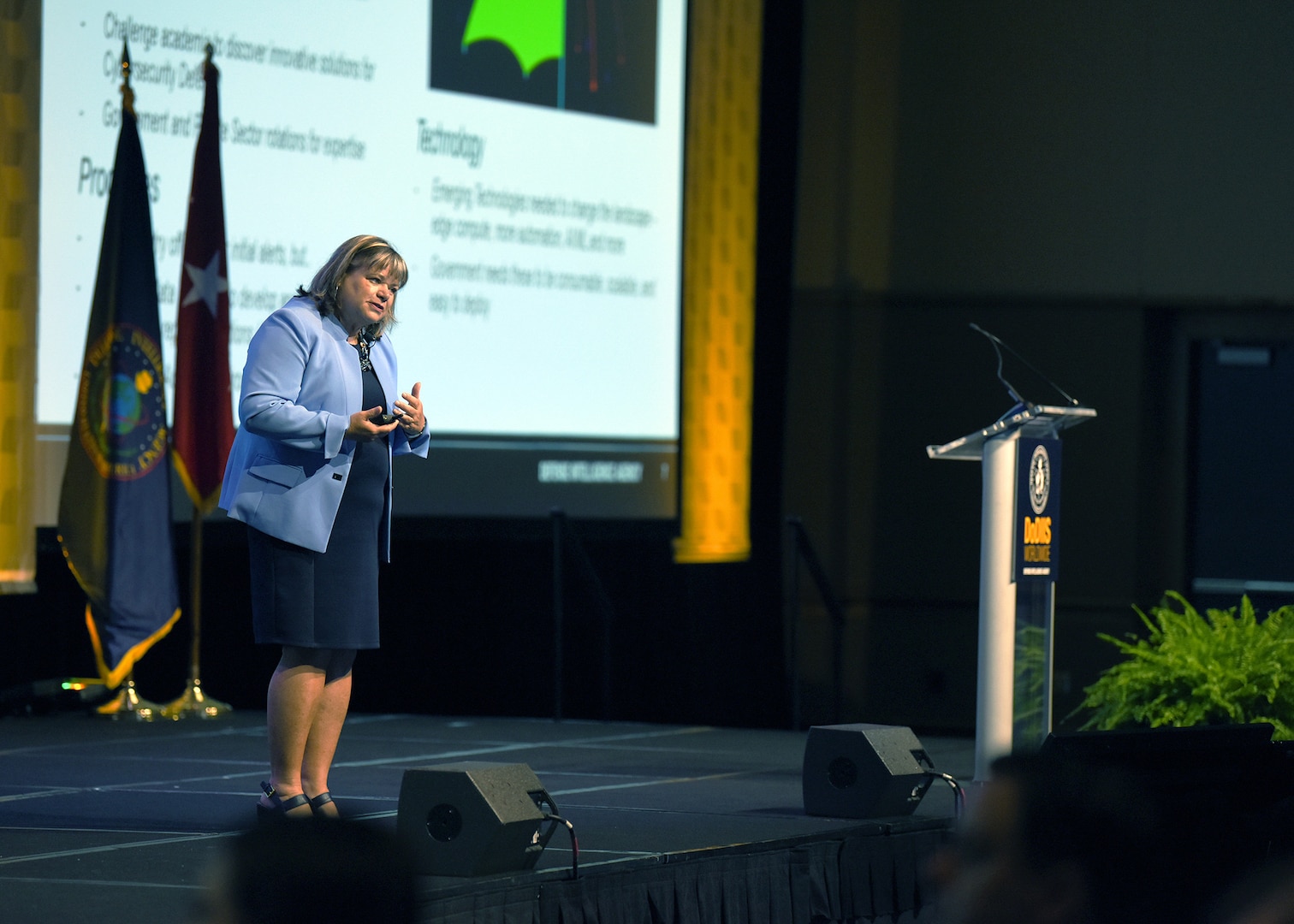 Jean Schaffer, Defense Intelligence Agency Cyber and Enterprise Operations Chief, explains the Agency’s digital transformation