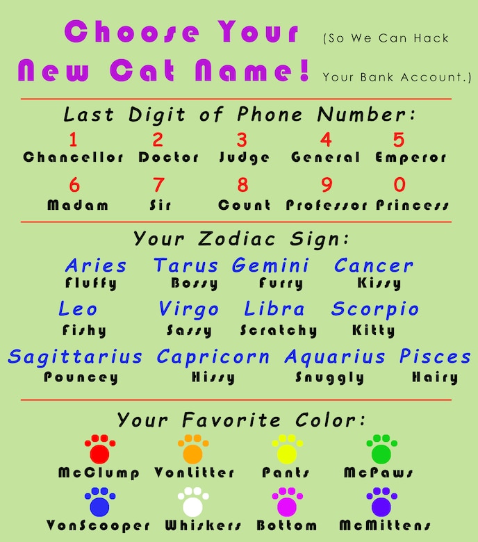 A graphic asks the viewer to construct a name for their cat by choosing from an array of names that are listed.