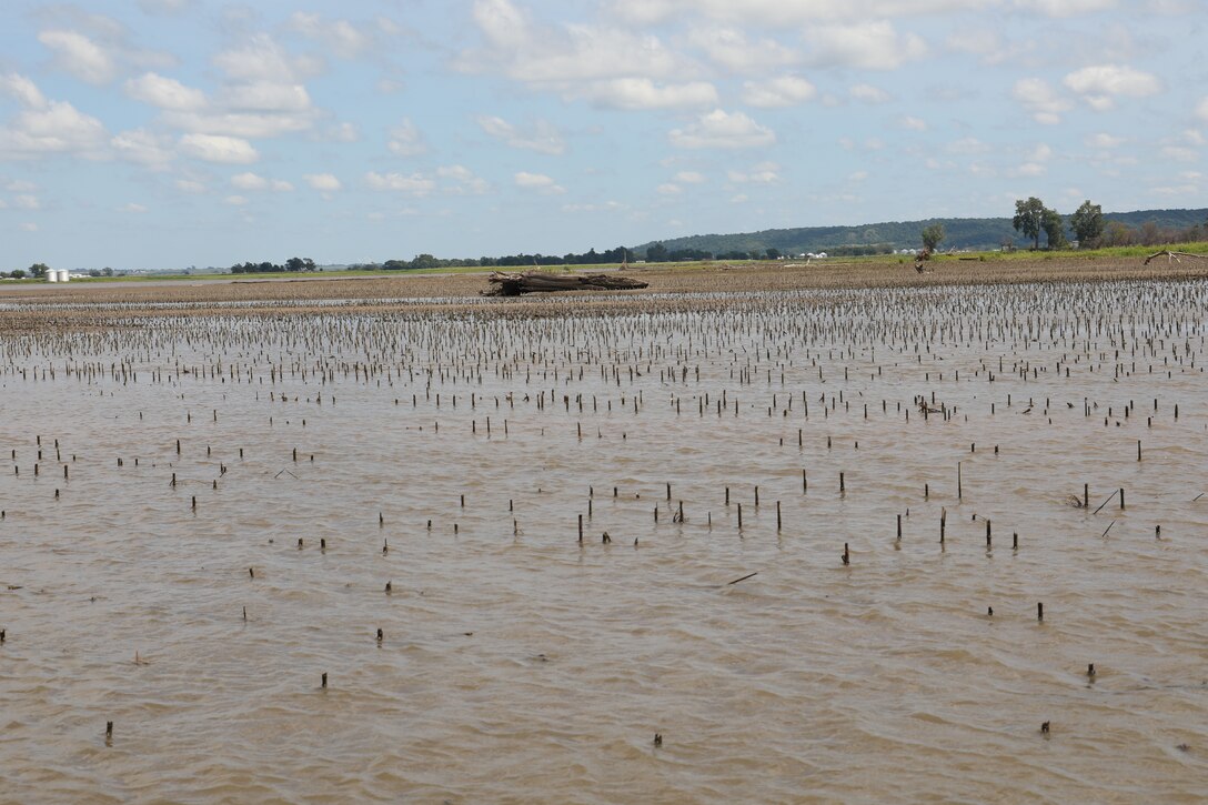 Progress on Levee L550 near Watson, Missouri Aug. 23, 2019.