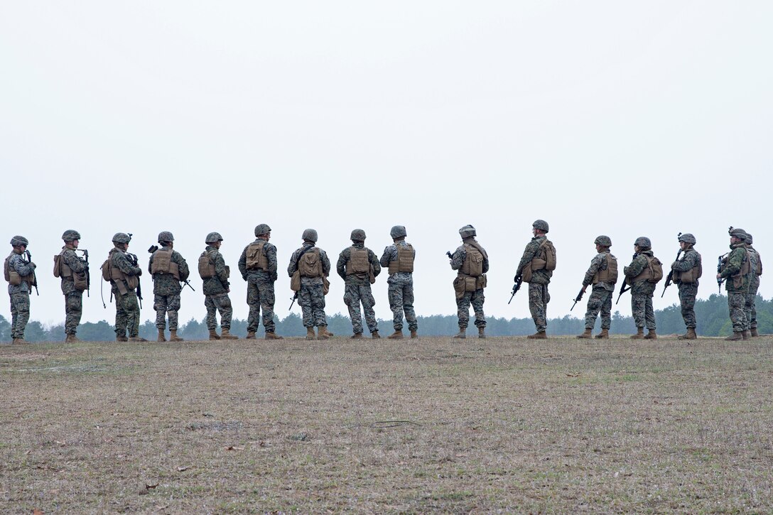 A group of Marines stand in a line.