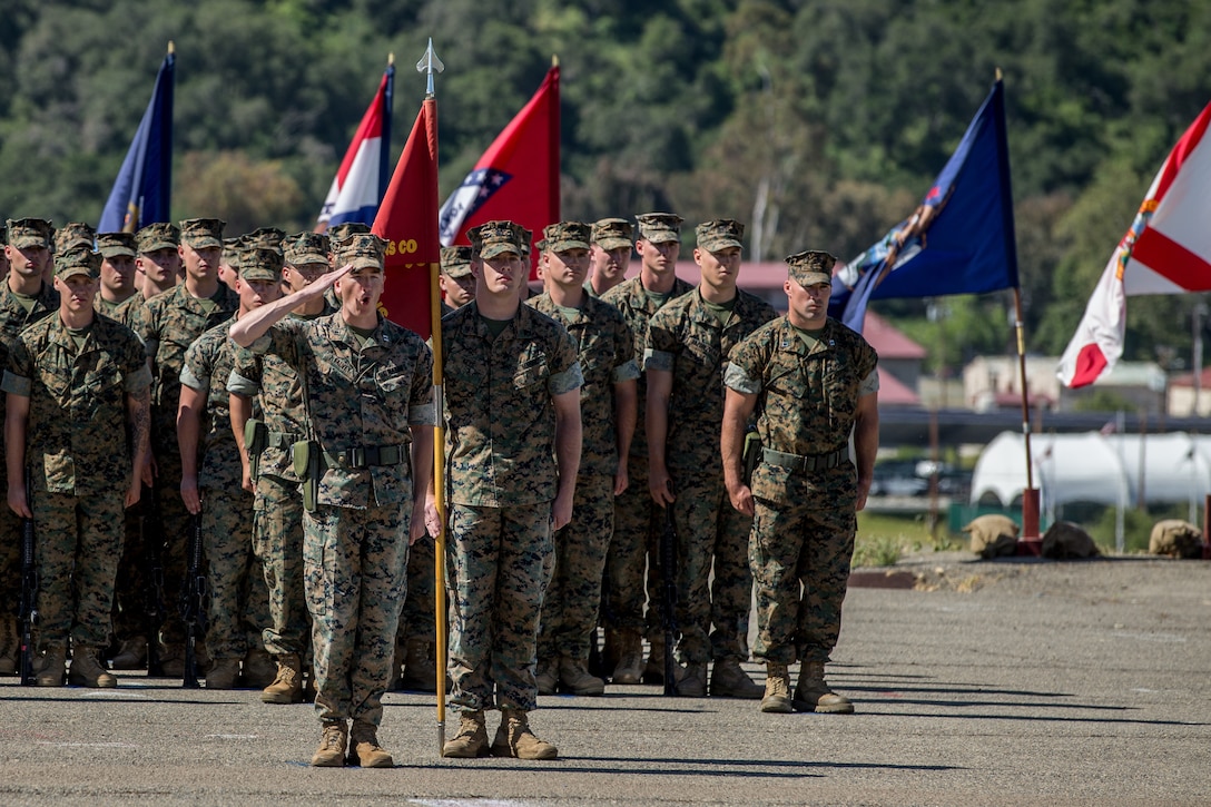 A group of Marines stand in rows saluting; some holding flags.