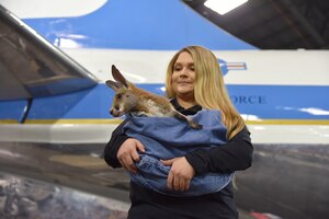 DAYTON, Ohio -- The Columbus Zoo participating in the activities on Jan 13, 2019 at the National Museum of the U.S. Air Force as part of the Science, Discovery and Family Fun Event. (U.S. Air Force photo by Ken LaRock)